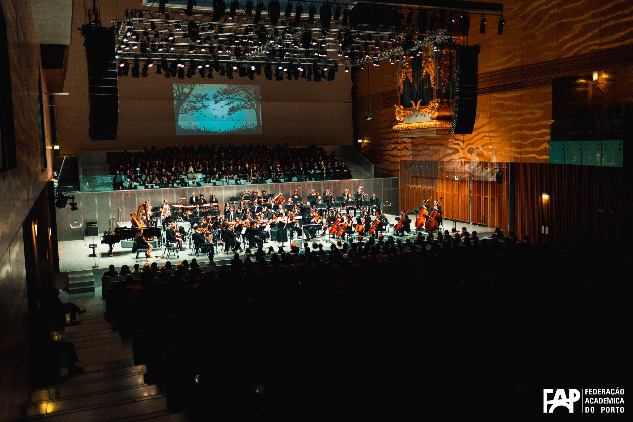 Concerto Promenade 2025 - 1